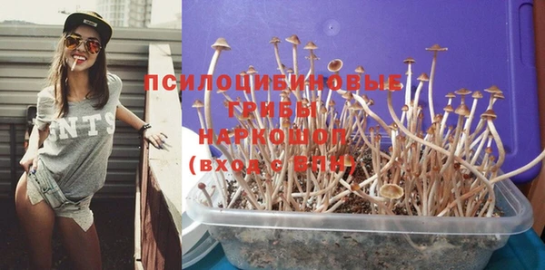 мескалин Аркадак